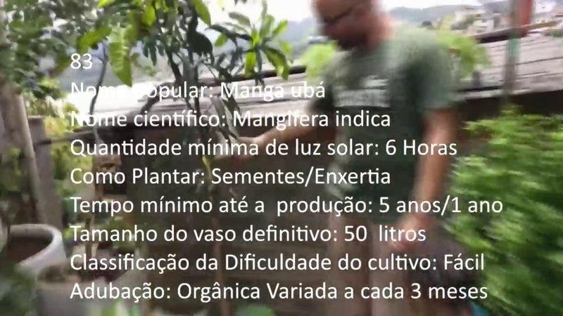 Manga uba - imagem 2
