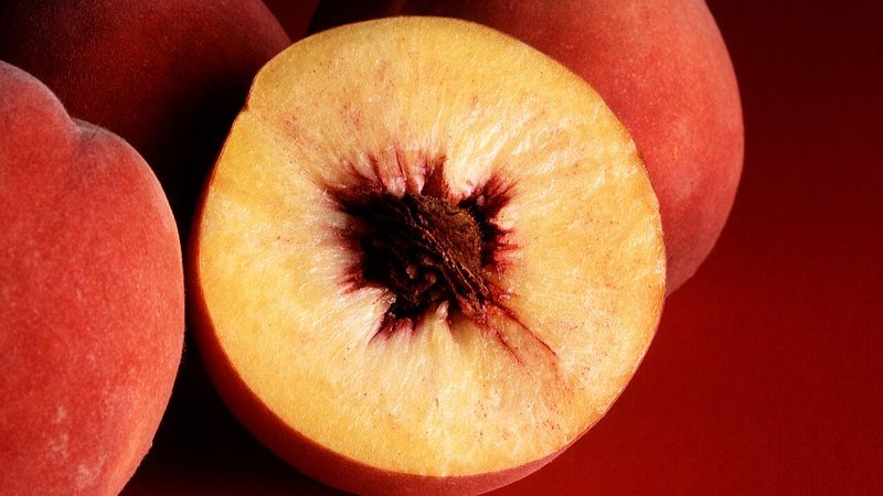 Muda de Pessego Anao (Prunus persica)